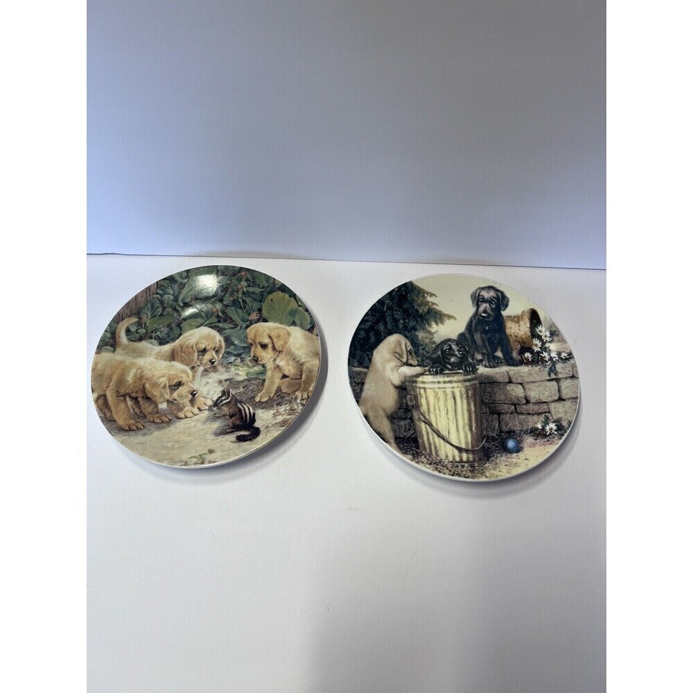 Black & Yellow Lab Puppy 8” Collector Plates Set of 2 Labrador Retrievers Dogs